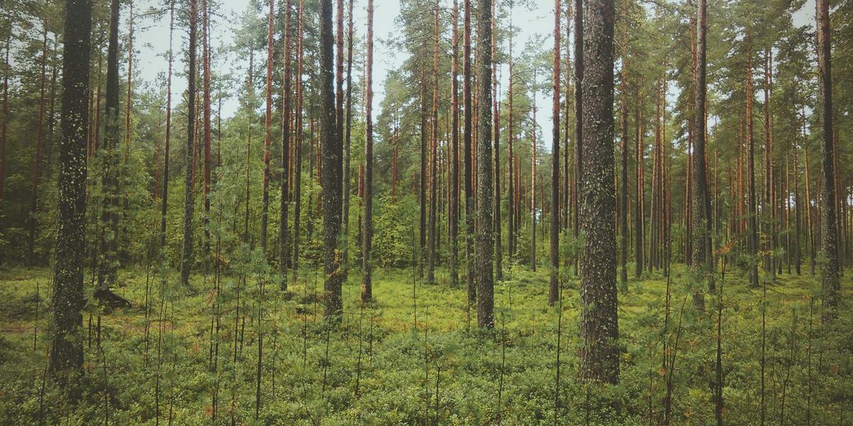Fashion Gallery - Crimson Sunset fashion runway models 1 - Modern Style & Fashion Trends Photo Gallery 2