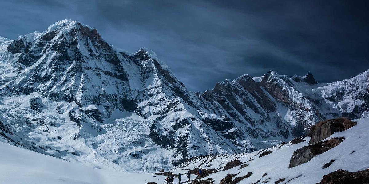 Radius - Forest Canopy circular patterns 1 - Welcome to Our Site Photo Gallery 1