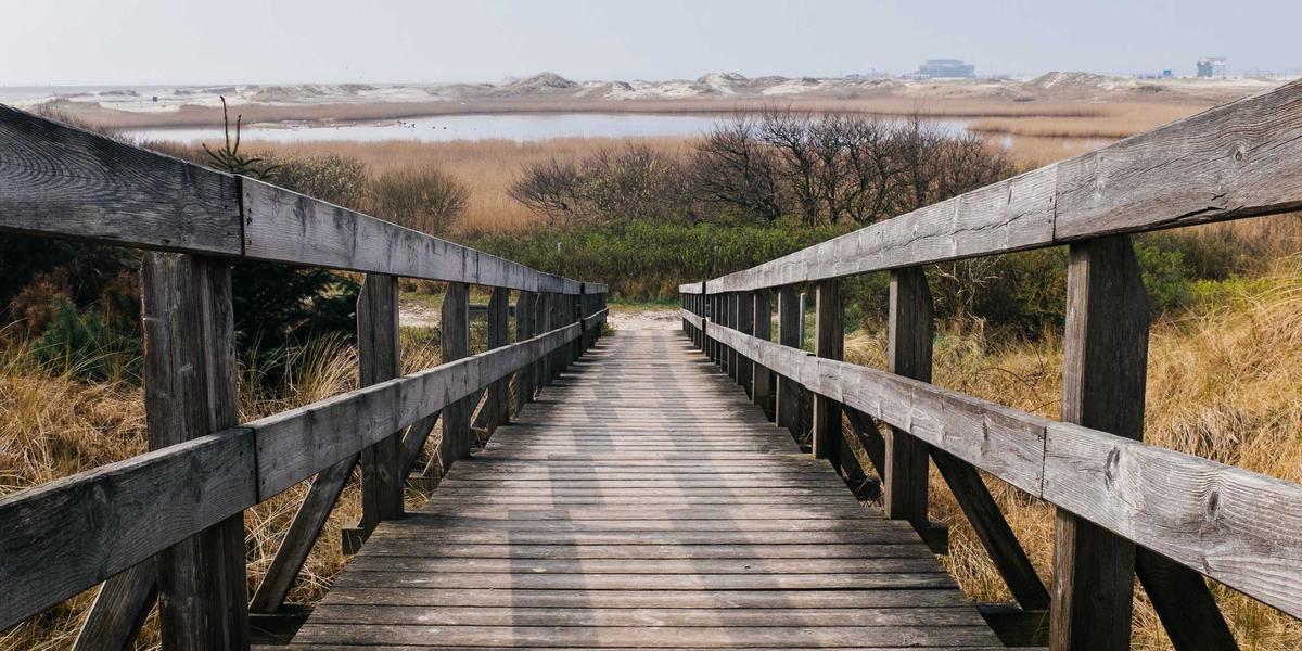 Fashion Gallery - Crimson Sunset fashion runway models 1 - Modern Style & Fashion Trends Photo Gallery 1