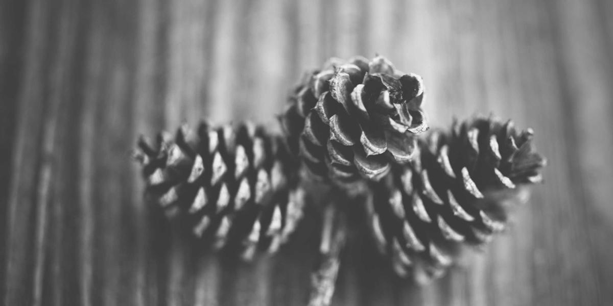 Fashion Gallery - Amber Glow fashion runway models 1 - Modern Style & Fashion Trends Photo Gallery 2