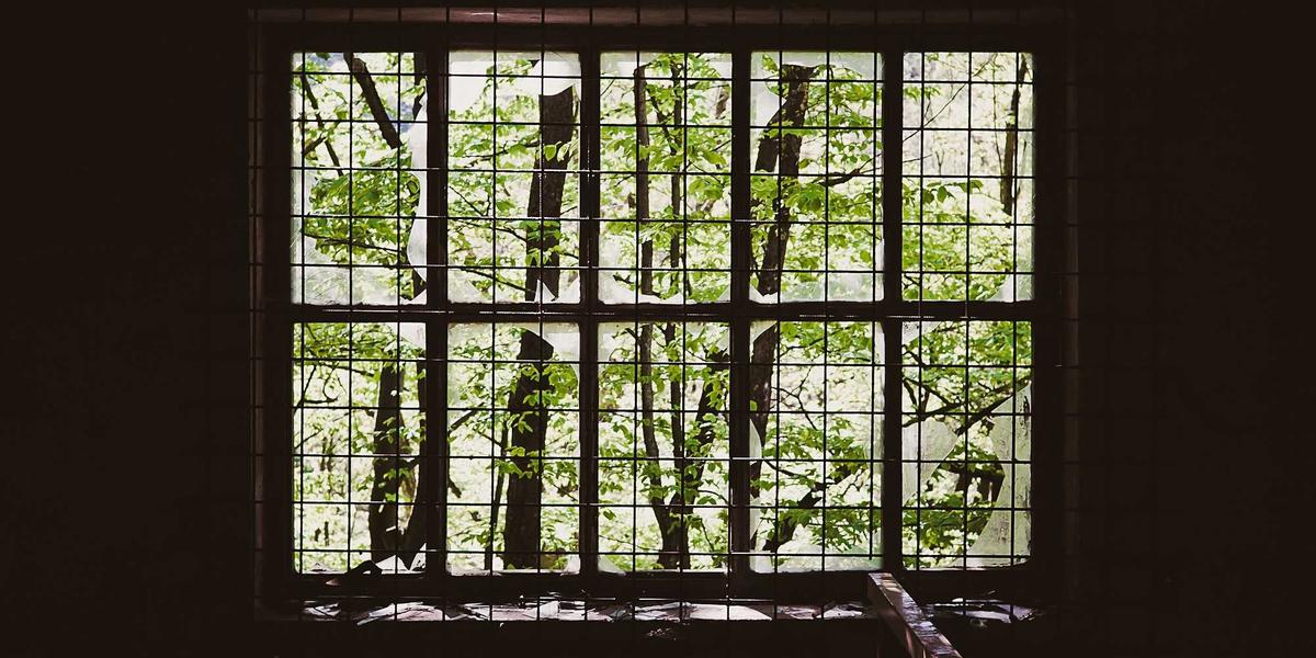Radius - Royal Amethyst circular patterns 1 - Welcome to Our Site Photo Gallery 1